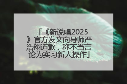 《新说唱2025》官方发文向导师严浩翔道歉，称不当言论为实习新人操作