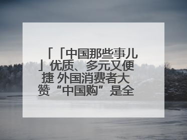 「中国那些事儿」优质、多元又便捷 外国消费者大赞“中国购”是全新体验！