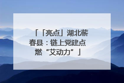「亮点」湖北蕲春县：链上党建点燃“艾动力”