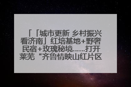 「城市更新 乡村振兴看济南」红培基地+野奢民宿+玫瑰秘境……打开莱芜“齐鲁情映山红片区”的破圈秘籍