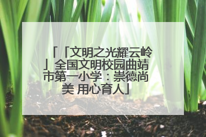 「文明之光耀云岭」全国文明校园曲靖市第一小学：崇德尚美 用心育人