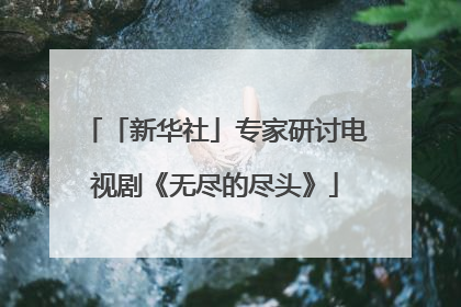 「新华社」专家研讨电视剧《无尽的尽头》