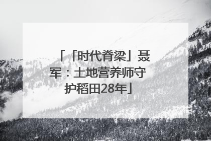 「时代脊梁」聂军：土地营养师守护稻田28年