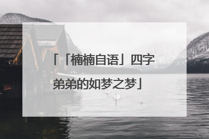 「楠楠自语」四字弟弟的如梦之梦