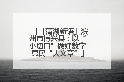 「蒲湖新语」滨州市博兴县：以“小切口”做好数字惠民“大文章”