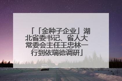 「金种子企业」湖北省委书记、省人大常委会主任王忠林一行到依瑞德调研