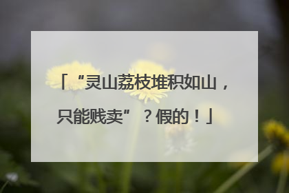 “灵山荔枝堆积如山，只能贱卖”？假的！