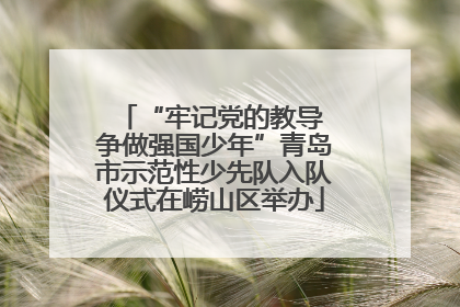 “牢记党的教导 争做强国少年”青岛市示范性少先队入队仪式在崂山区举办
