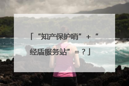 “知产保护哨”+“经盾服务站”=？