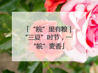 “皖”里有粮｜“三夏”时节，一“皖”麦香