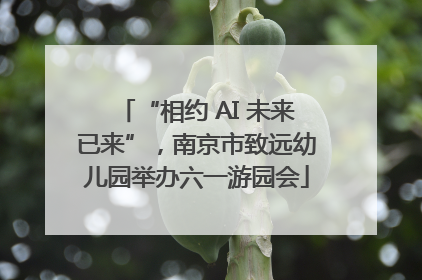 “相约 AI 未来已来”，南京市致远幼儿园举办六一游园会