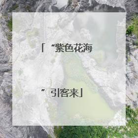 “紫色花海”引客来