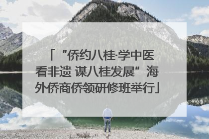 “侨约八桂·学中医 看非遗 谋八桂发展”海外侨商侨领研修班举行