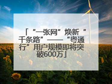 “一张网”焕新“千条路”——“粤通行”用户规模即将突破600万