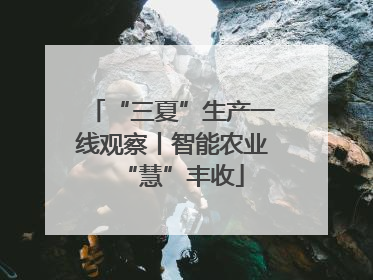 “三夏”生产一线观察丨智能农业“慧”丰收