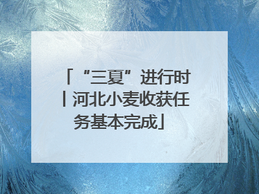 “三夏”进行时丨河北小麦收获任务基本完成