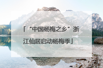 “中国杨梅之乡”浙江仙居启动杨梅季