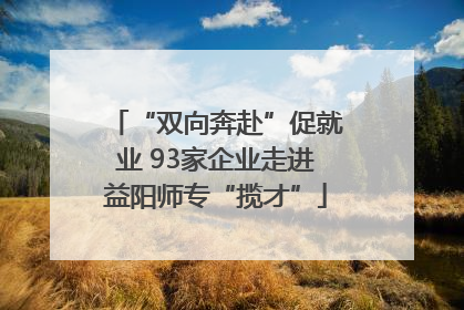 “双向奔赴”促就业 93家企业走进益阳师专“揽才”