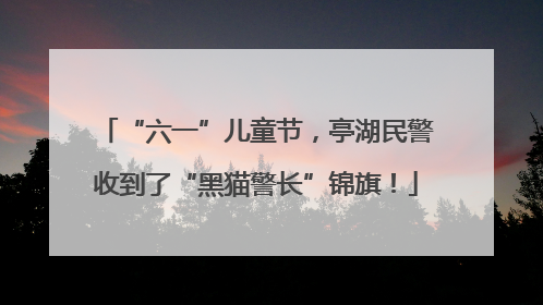 “六一”儿童节，亭湖民警收到了“黑猫警长”锦旗！