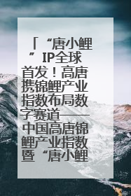 “唐小鲤”IP全球首发！高唐携锦鲤产业指数布局数字赛道——中国高唐锦鲤产业指数暨“唐小鲤”IP全球首发仪式在杭州举行