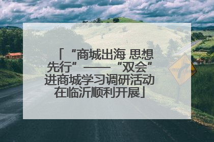“商城出海 思想先行”——“双会”进商城学习调研活动在临沂顺利开展