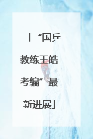 “国乒教练王皓考编”最新进展