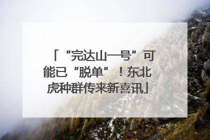 “完达山一号”可能已“脱单”！东北虎种群传来新喜讯