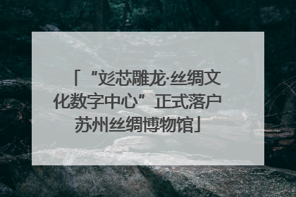 “彣芯雕龙·丝绸文化数字中心”正式落户苏州丝绸博物馆