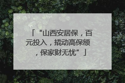 “山西安居保，百元投入，撬动高保额，保家财无忧”