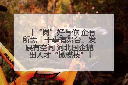 “岗”好有你 企有所需丨干事有舞台、发展有空间 河北国企抛出人才“橄榄枝”