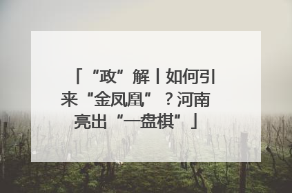 “政”解丨如何引来“金凤凰”？河南亮出“一盘棋”