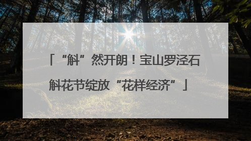 “斛”然开朗！宝山罗泾石斛花节绽放“花样经济”
