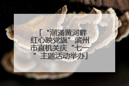 “潮涌黄河畔 红心映党旗”滨州市直机关庆“七一”主题活动举办