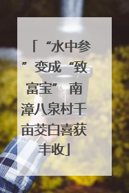 “水中参”变成“致富宝” 南漳八泉村千亩茭白喜获丰收