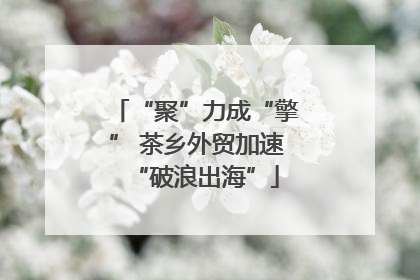 “聚”力成“擎” 茶乡外贸加速“破浪出海”