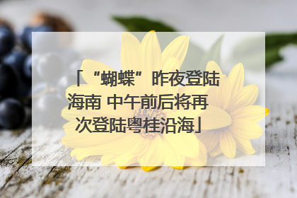 “蝴蝶”昨夜登陆海南 中午前后将再次登陆粤桂沿海