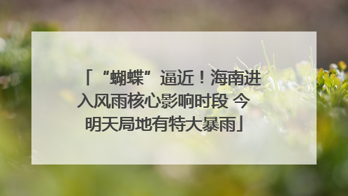“蝴蝶”逼近！海南进入风雨核心影响时段 今明天局地有特大暴雨