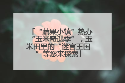 “蔬果小镇”热办“玉米奇遇季”，玉米田里的“迷宫王国”等您来探索