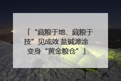 “藏粮于地、藏粮于技”见成效 盐碱滩涂变身“黄金粮仓”