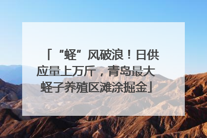 “蛏”风破浪！日供应量上万斤，青岛最大蛏子养殖区滩涂掘金