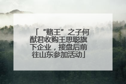 “赌王”之子何猷君收购王思聪旗下企业，接盘后前往山东参加活动