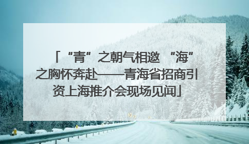 “青”之朝气相邀 “海”之胸怀奔赴——青海省招商引资上海推介会现场见闻