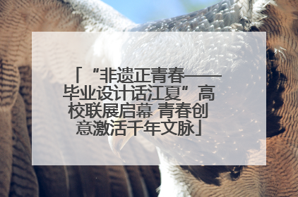 “非遗正青春——毕业设计话江夏”高校联展启幕 青春创意激活千年文脉