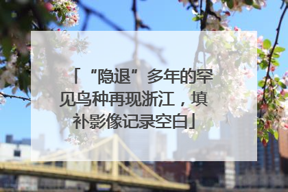 “隐退”多年的罕见鸟种再现浙江，填补影像记录空白