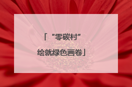 “零碳村” 绘就绿色画卷