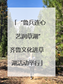 “鲁兵连心 艺润草湖”齐鲁文化进草湖活动举行