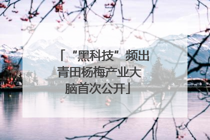 “黑科技”频出 青田杨梅产业大脑首次公开