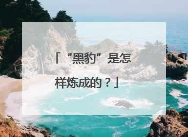 “黑豹”是怎样炼成的？
