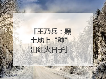 王乃兵：黑土地上“种”出红火日子