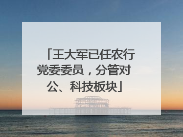 王大军已任农行党委委员，分管对公、科技板块
